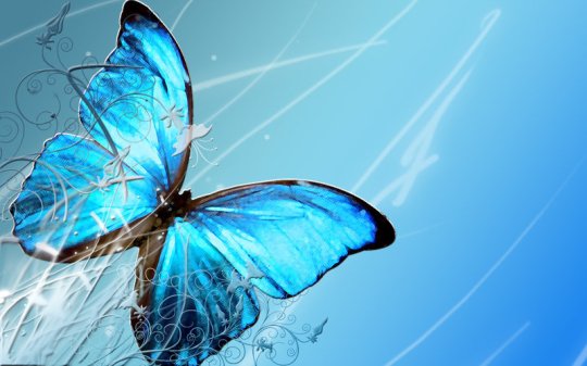 Blue_Butterfly_by_crazthonfry
